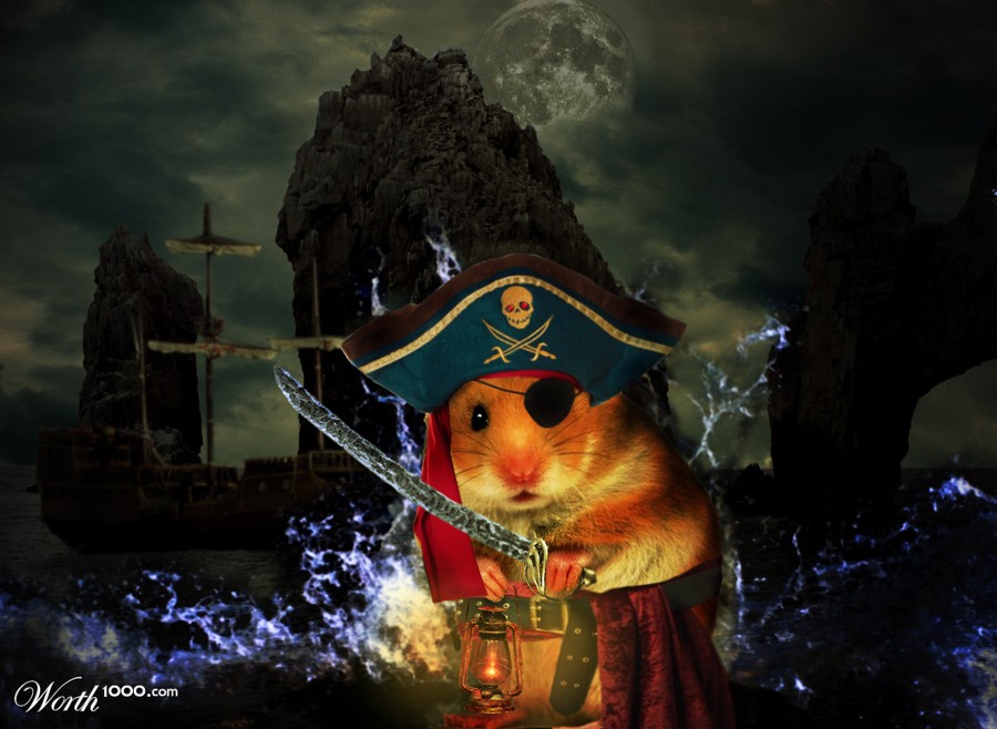 Pirate Hamster