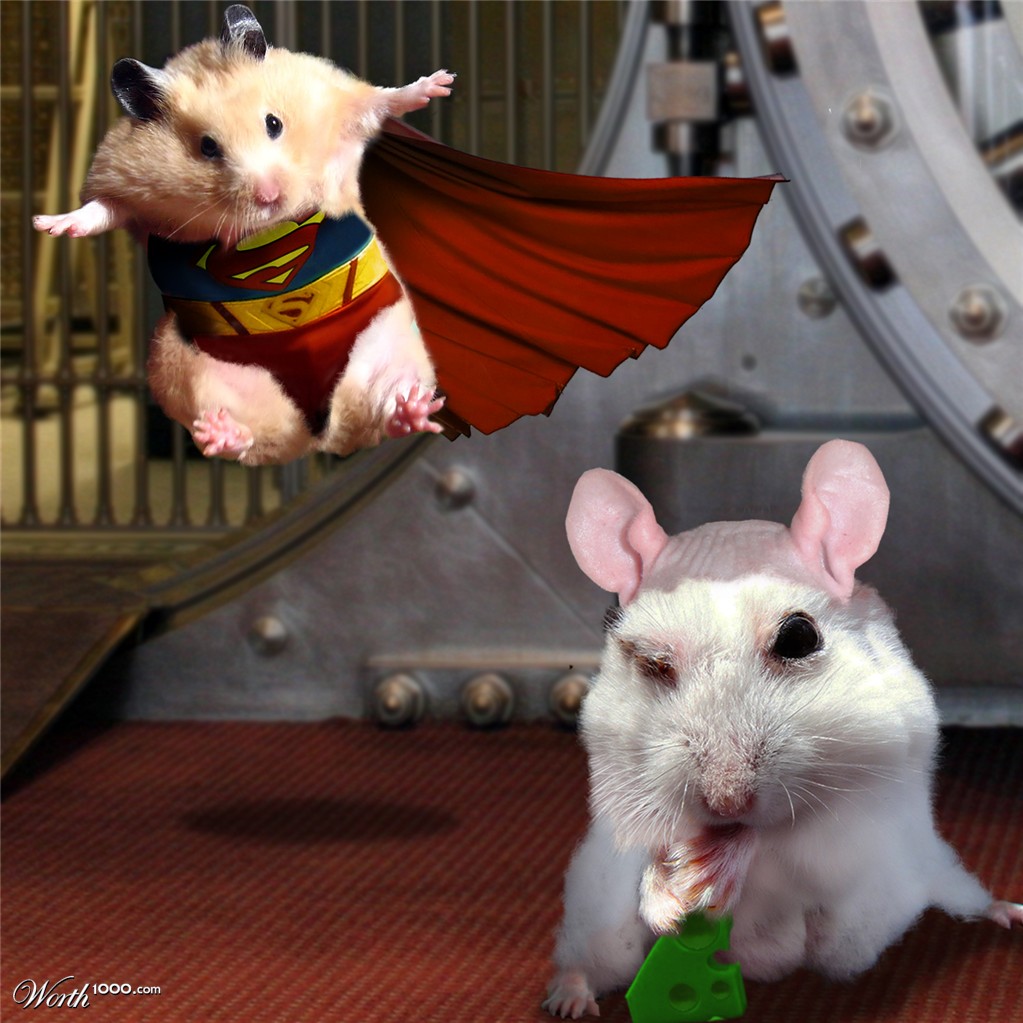 SuperHam LexHamster