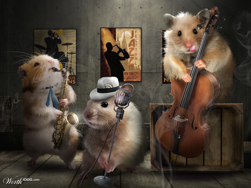 The Hamies Band