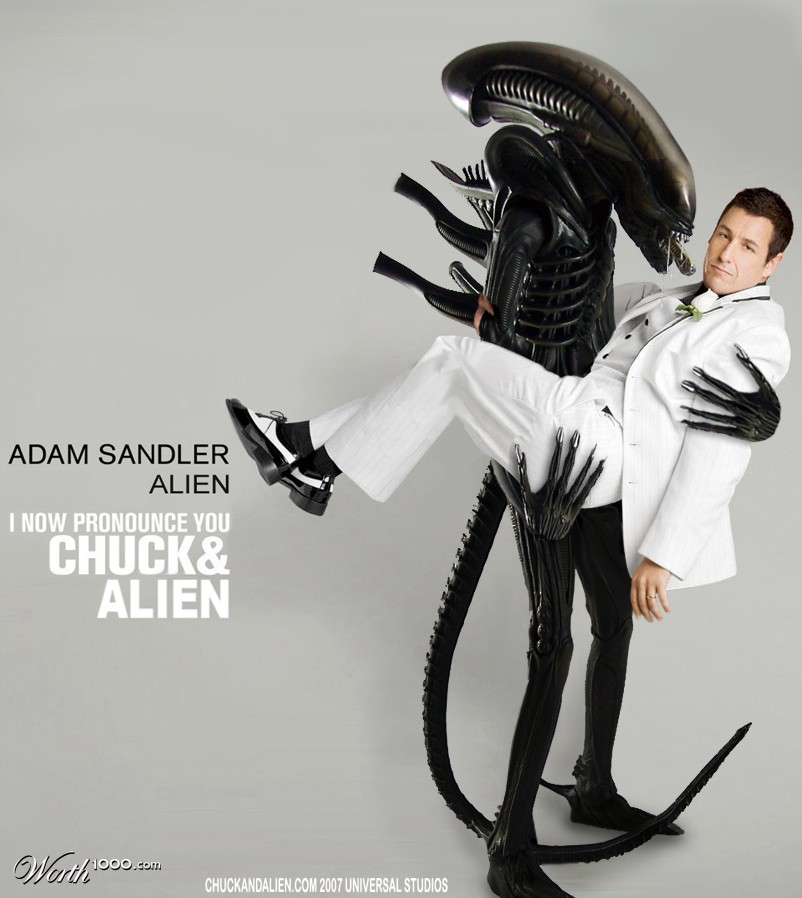 Chuck And Larry Movie