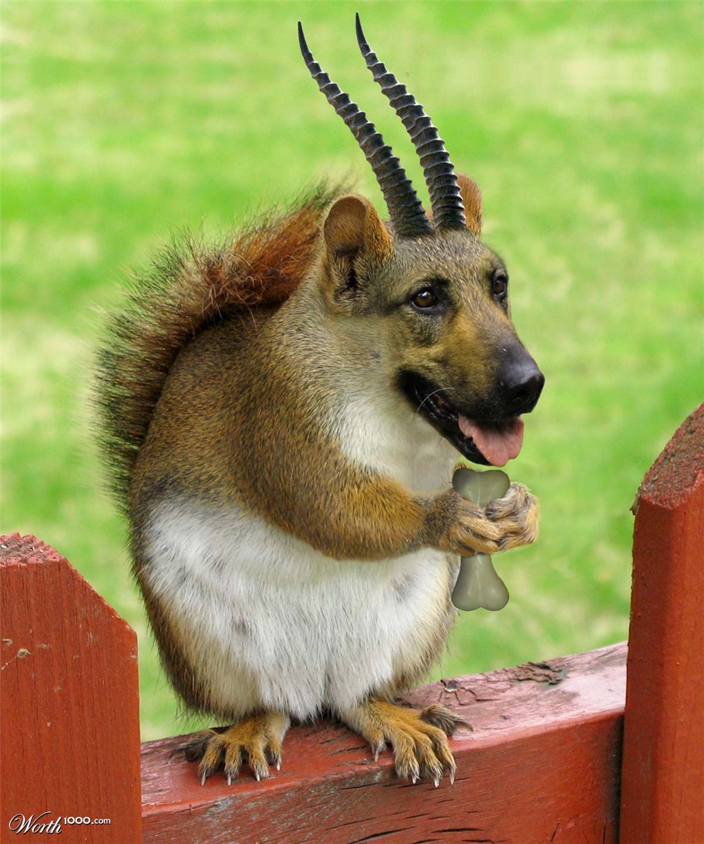 Cute Beast