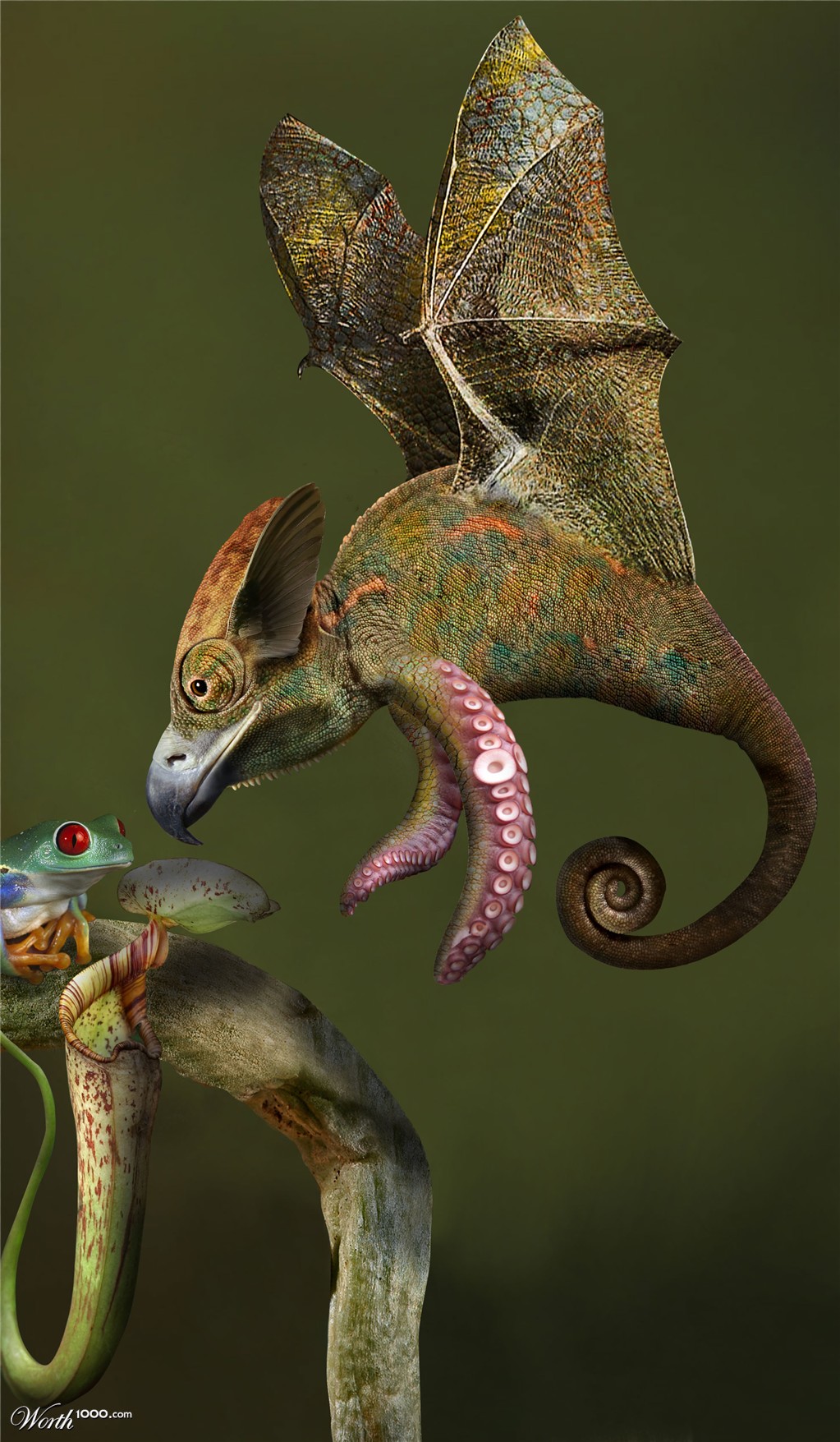 Rare Species