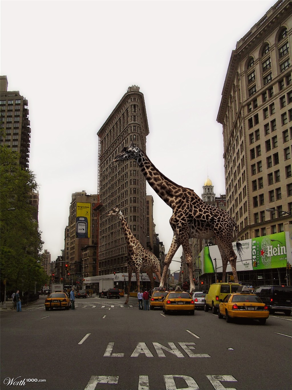 Nature in the City