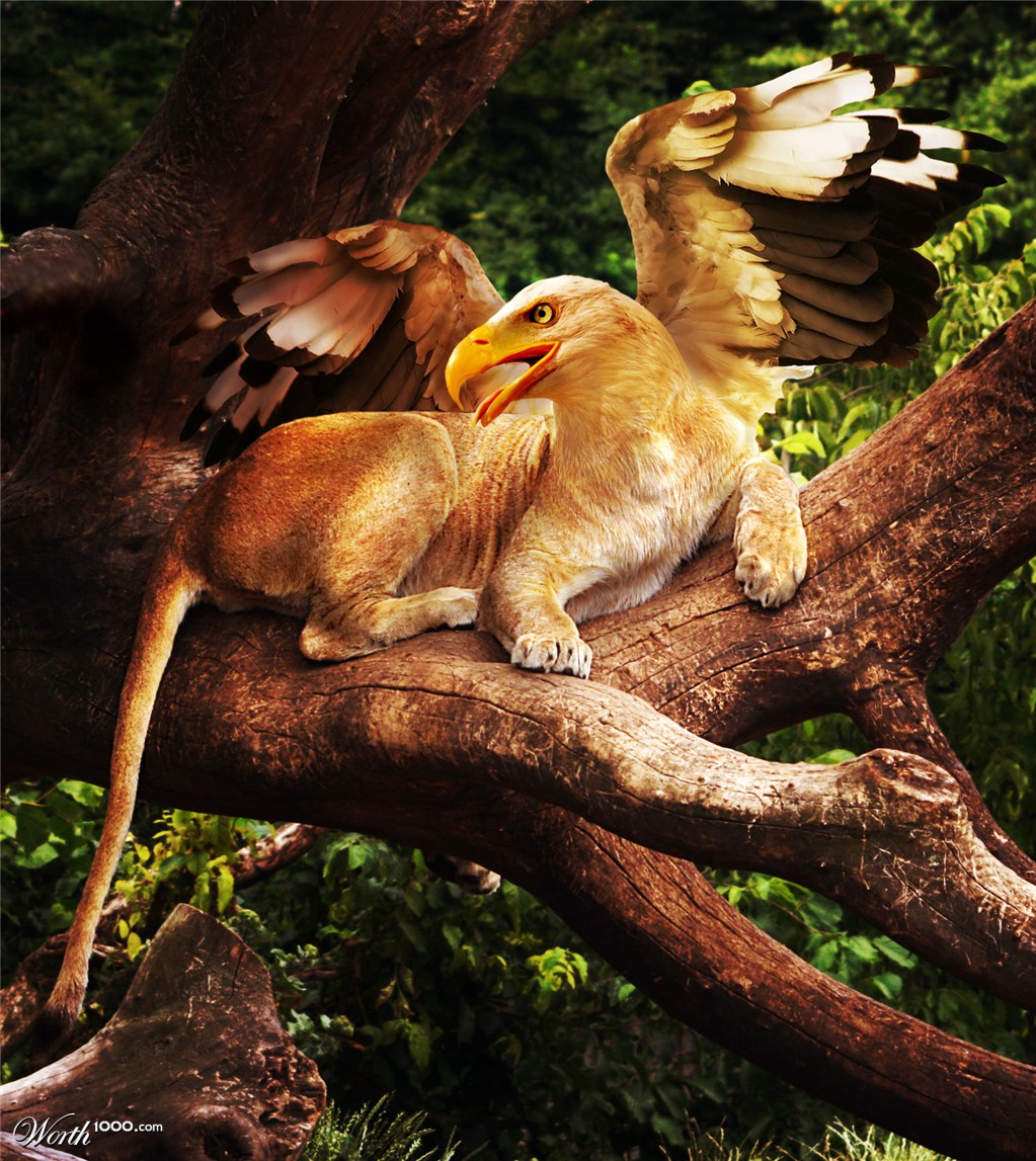 Griffiness