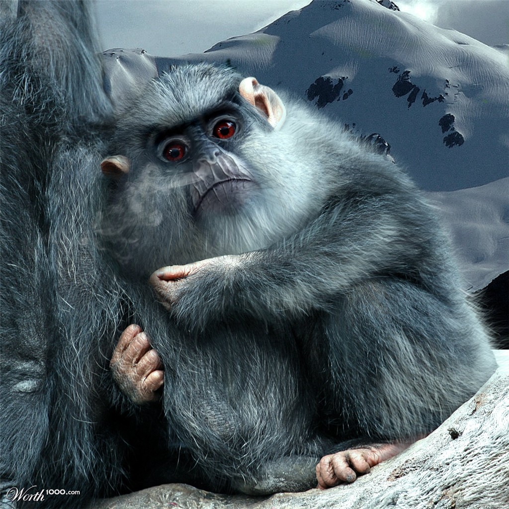 Yeti Cub