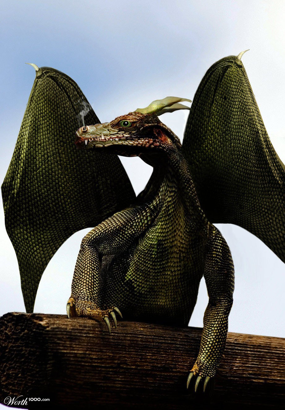 Draco