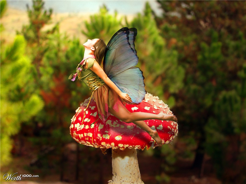 Mushroom Fairy
