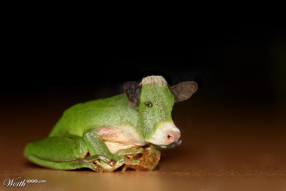 The frog who aspired to become as big as the ox