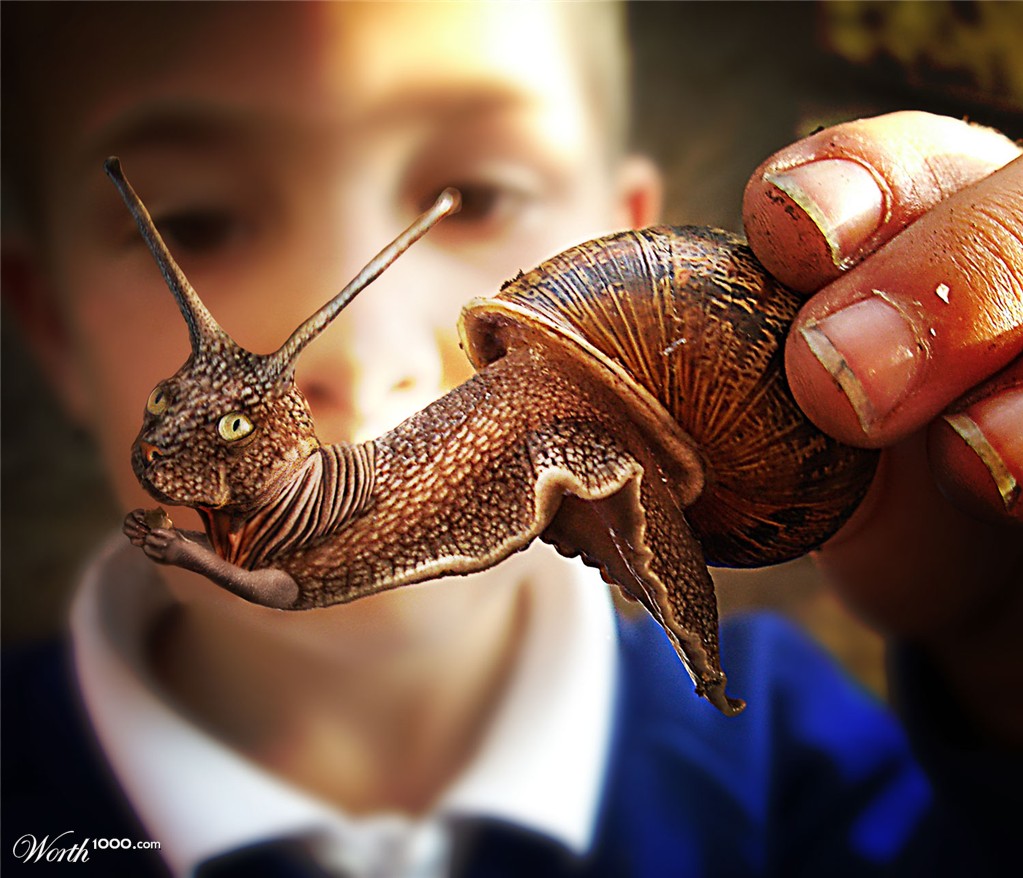 Snailcatrat