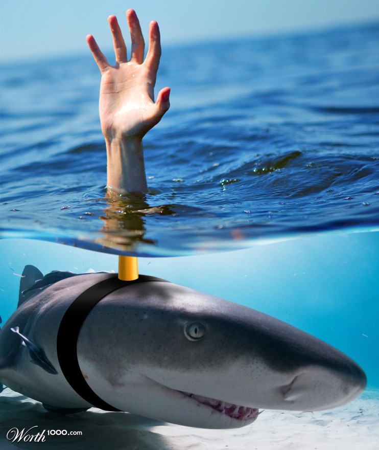 Handy Decoy