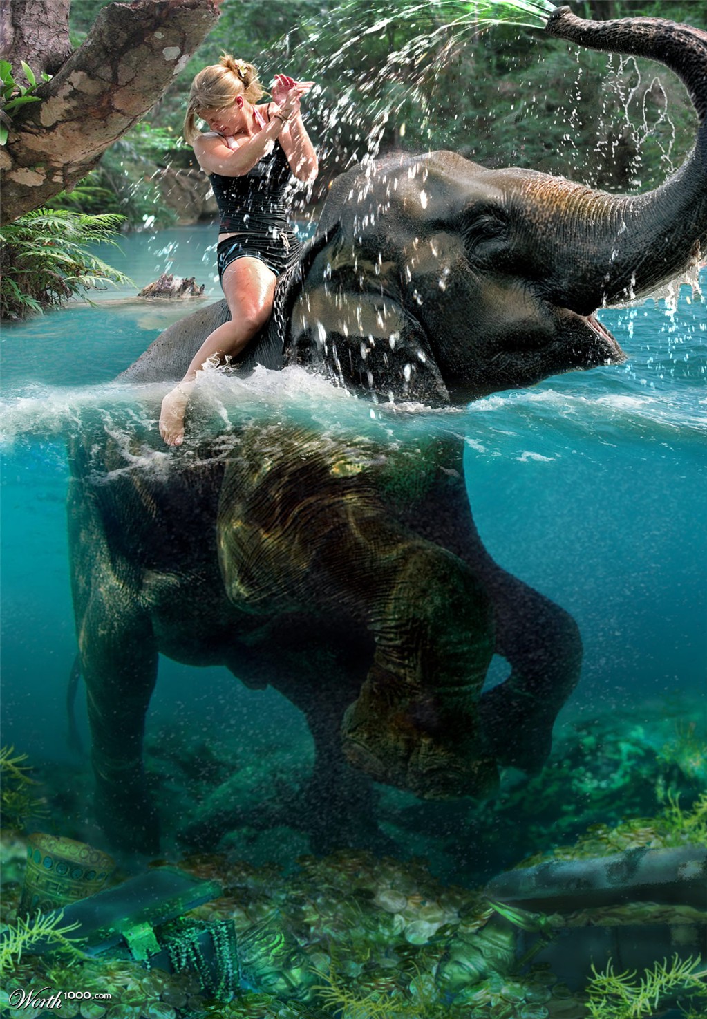 Elephant Ride