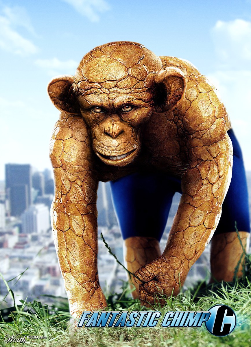 Fantastic Chimp
