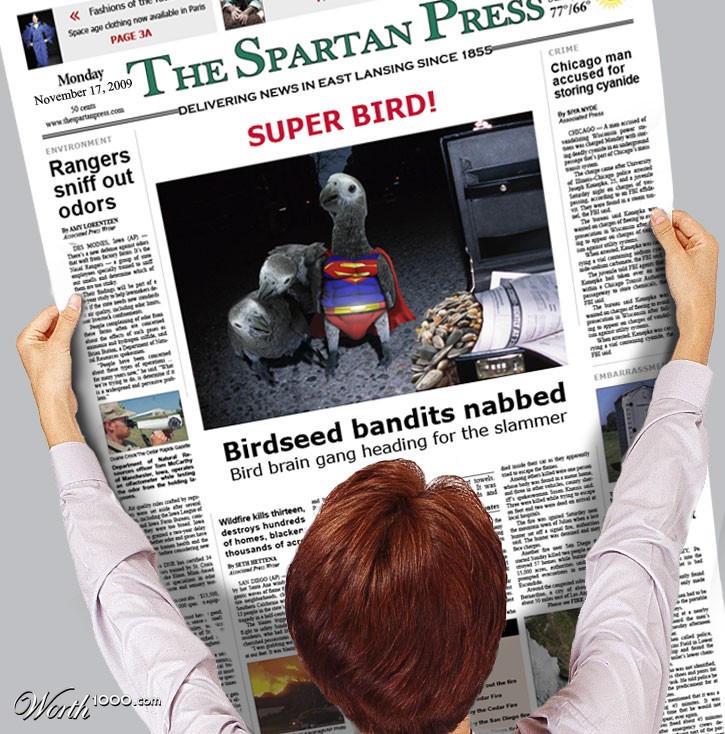 Super Bird!