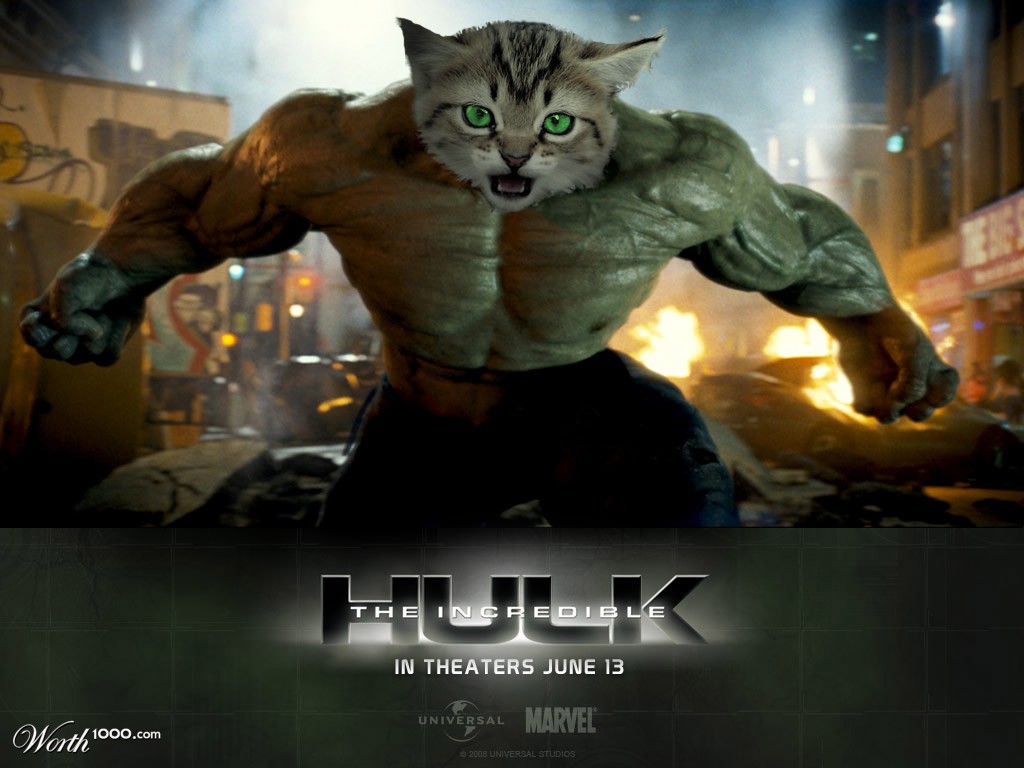 Hulk Gone Kitten