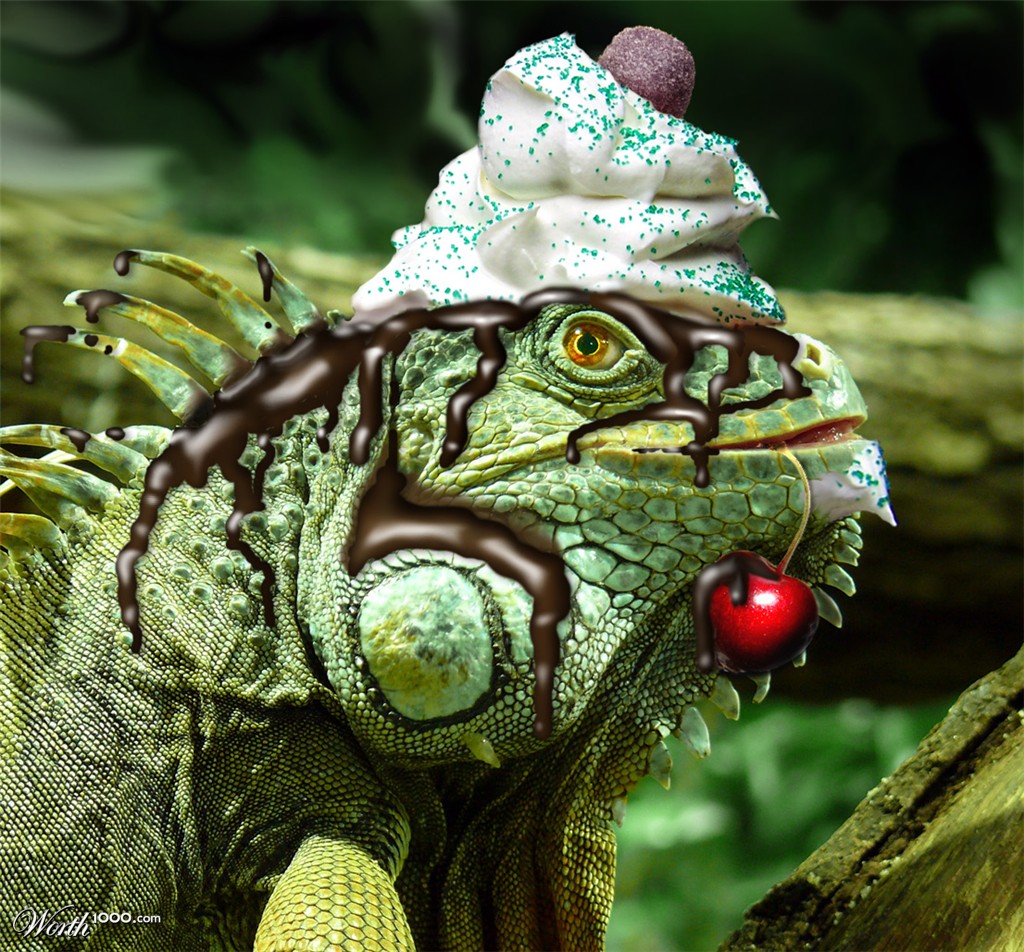 Iguana Delight