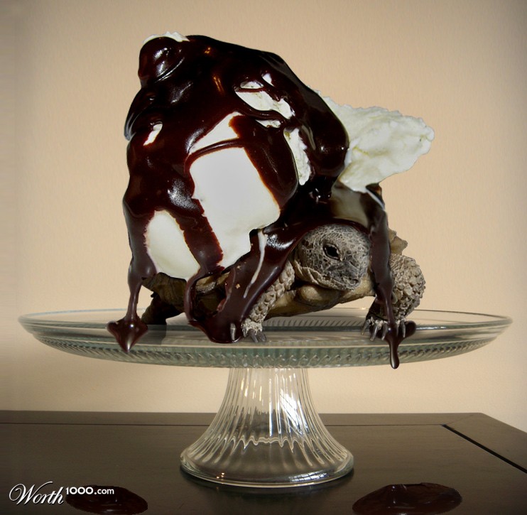Tortoise & Chocolate Sundae