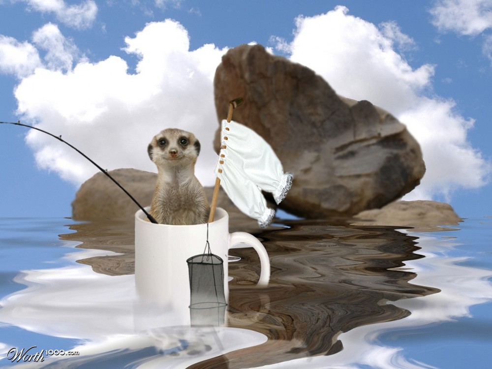 Gone Fishing