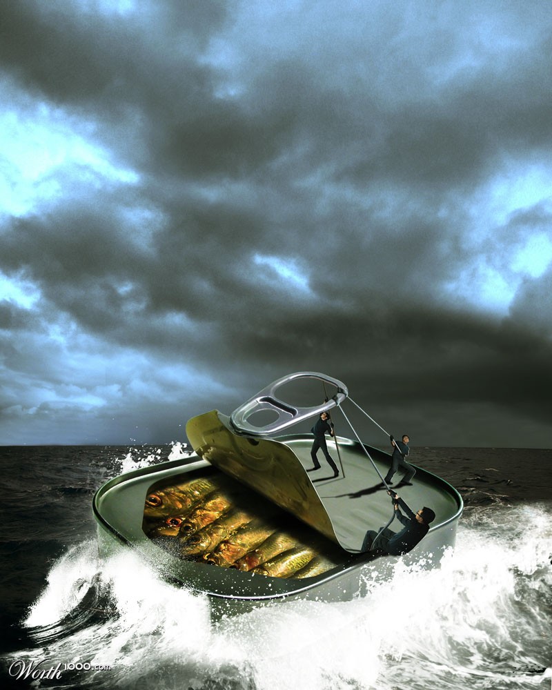 Sardines