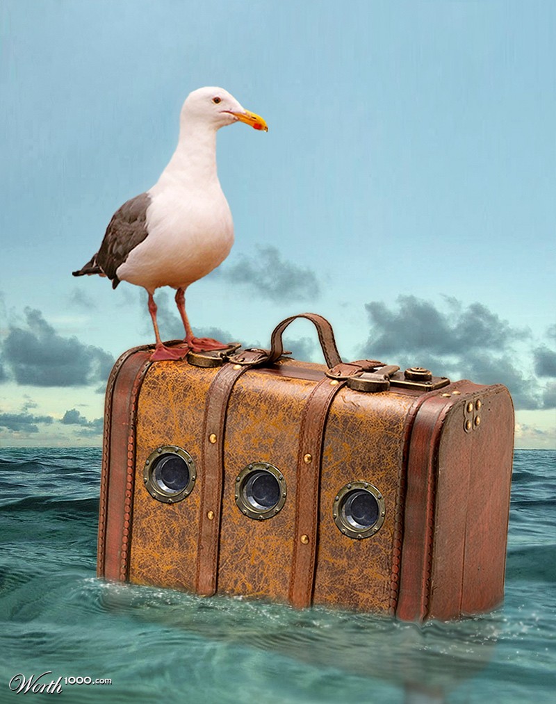 Nautical Bag