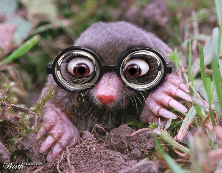 Mr Mole
