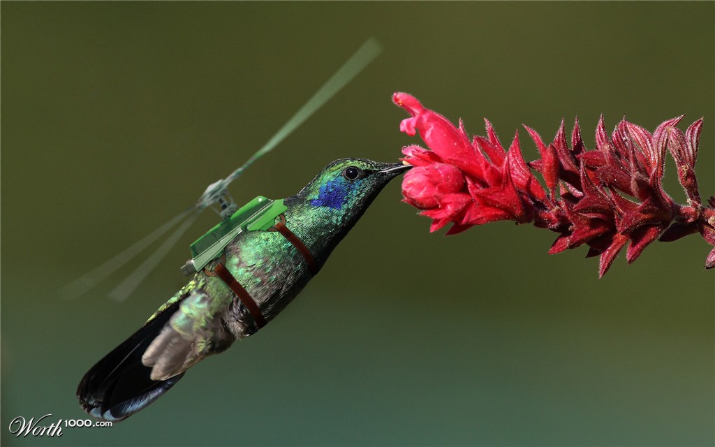 Hummingcopter