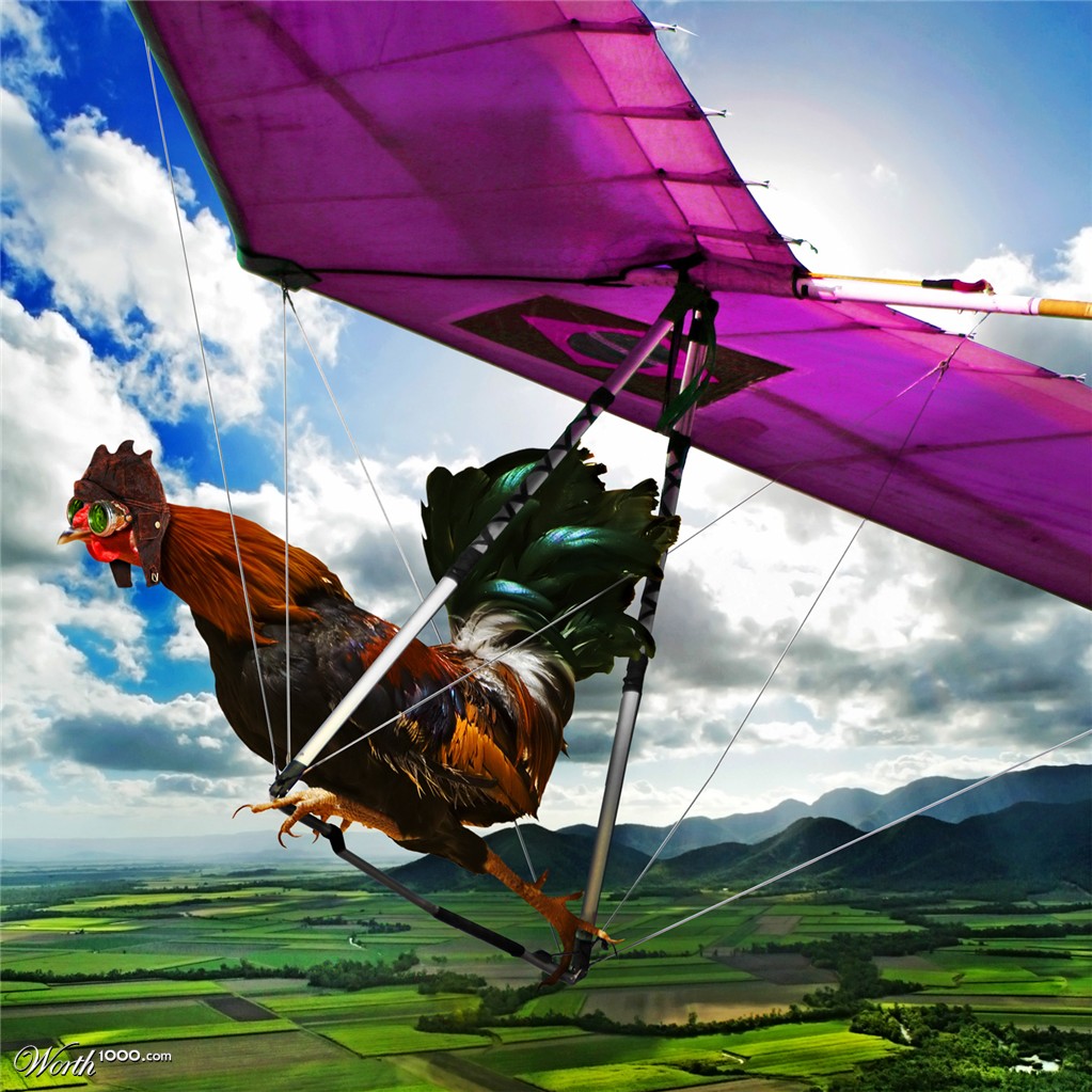 Flying Chicken