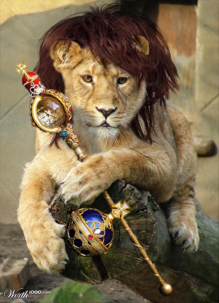 King Lion