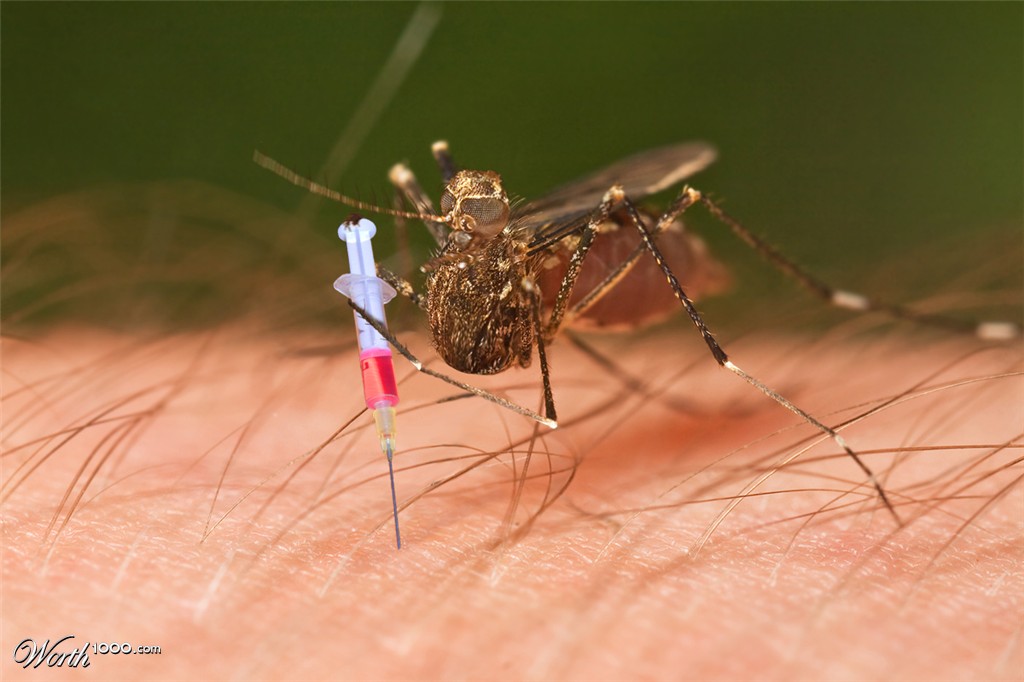 Doc Mosquito