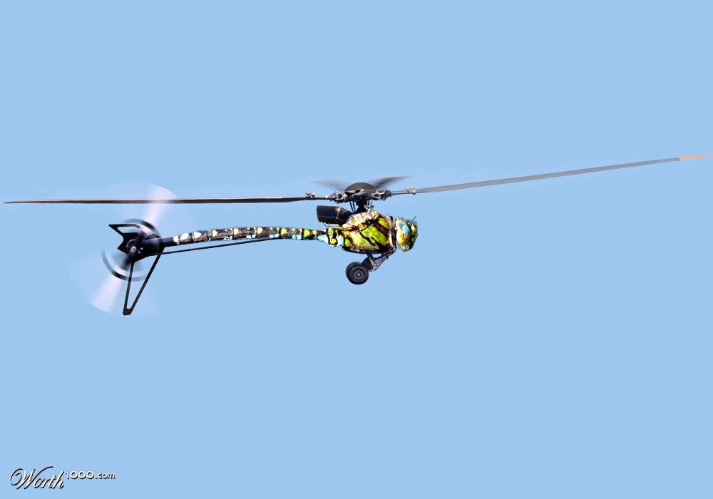 Dragonfly prosthesis