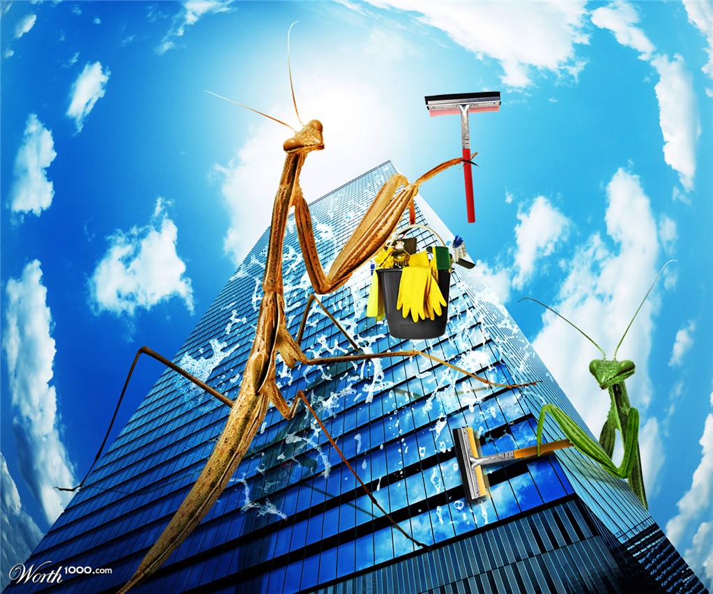Window Washers