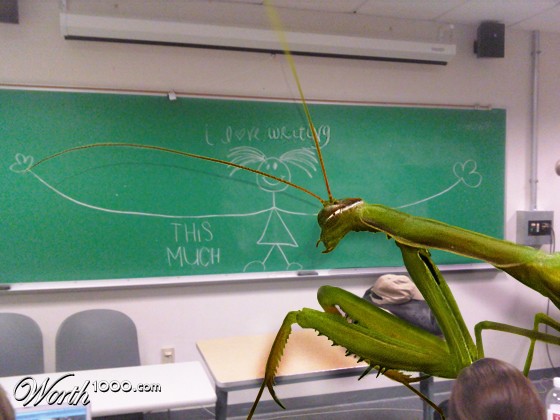Mr. Mantis