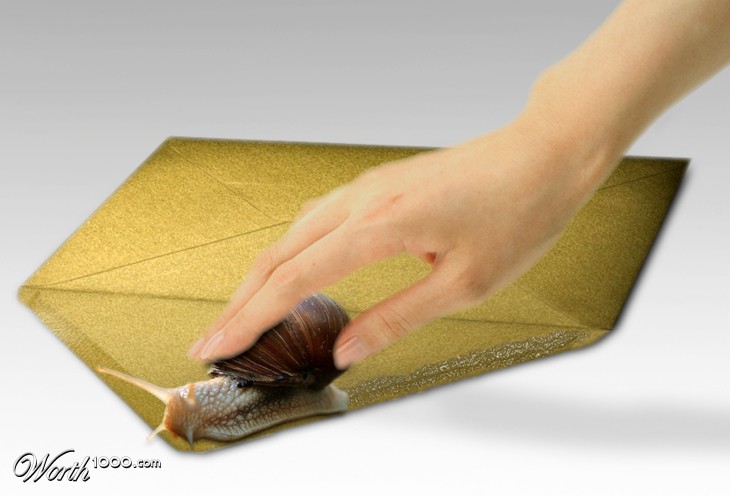 Snail Mail