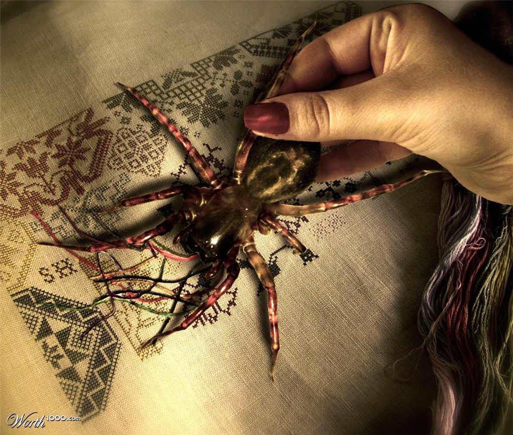 Sewing spider