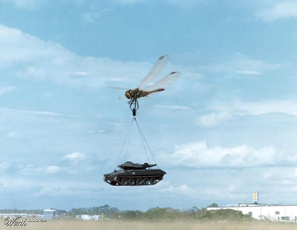 Dragonfly aerial crane