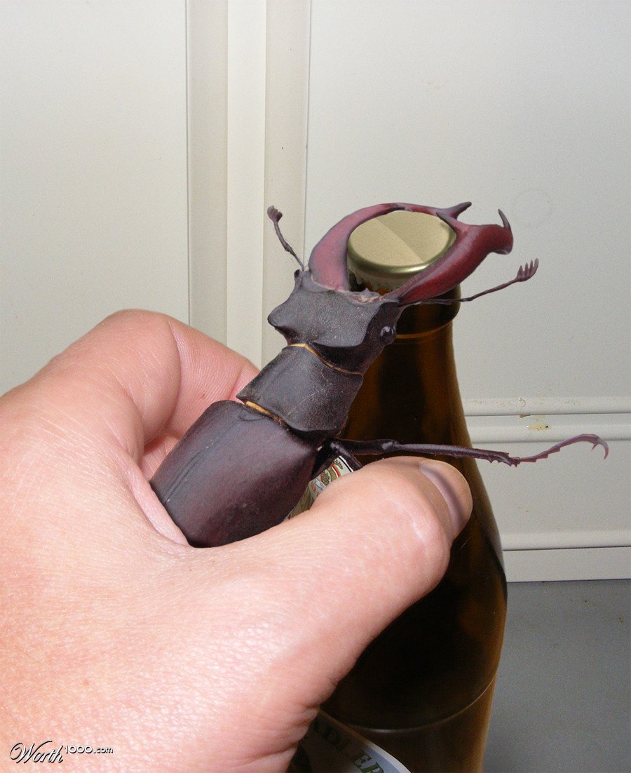 Beer Beetle