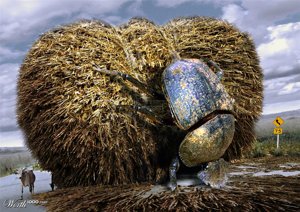 farmer dung