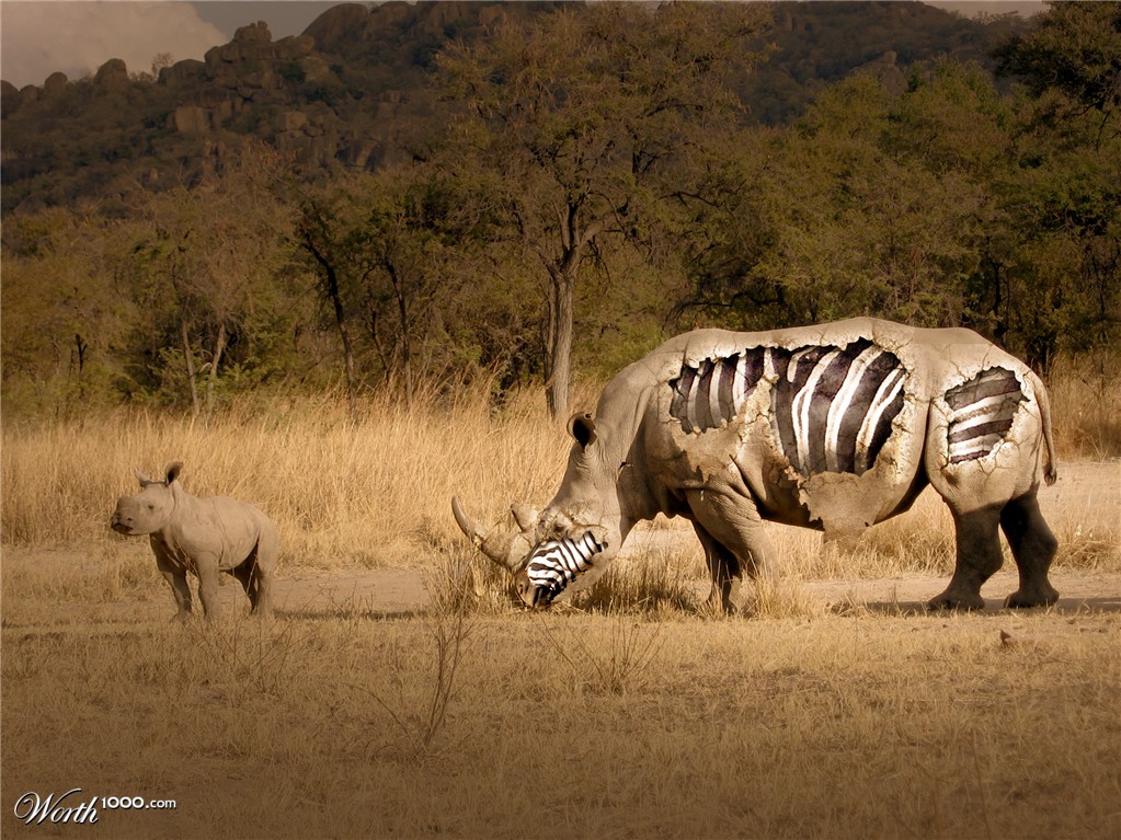 Fake Rhino