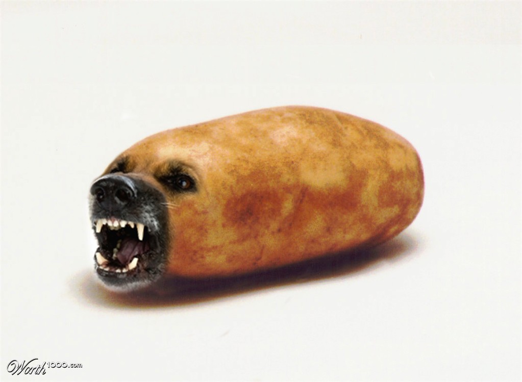 Potato, Dogato