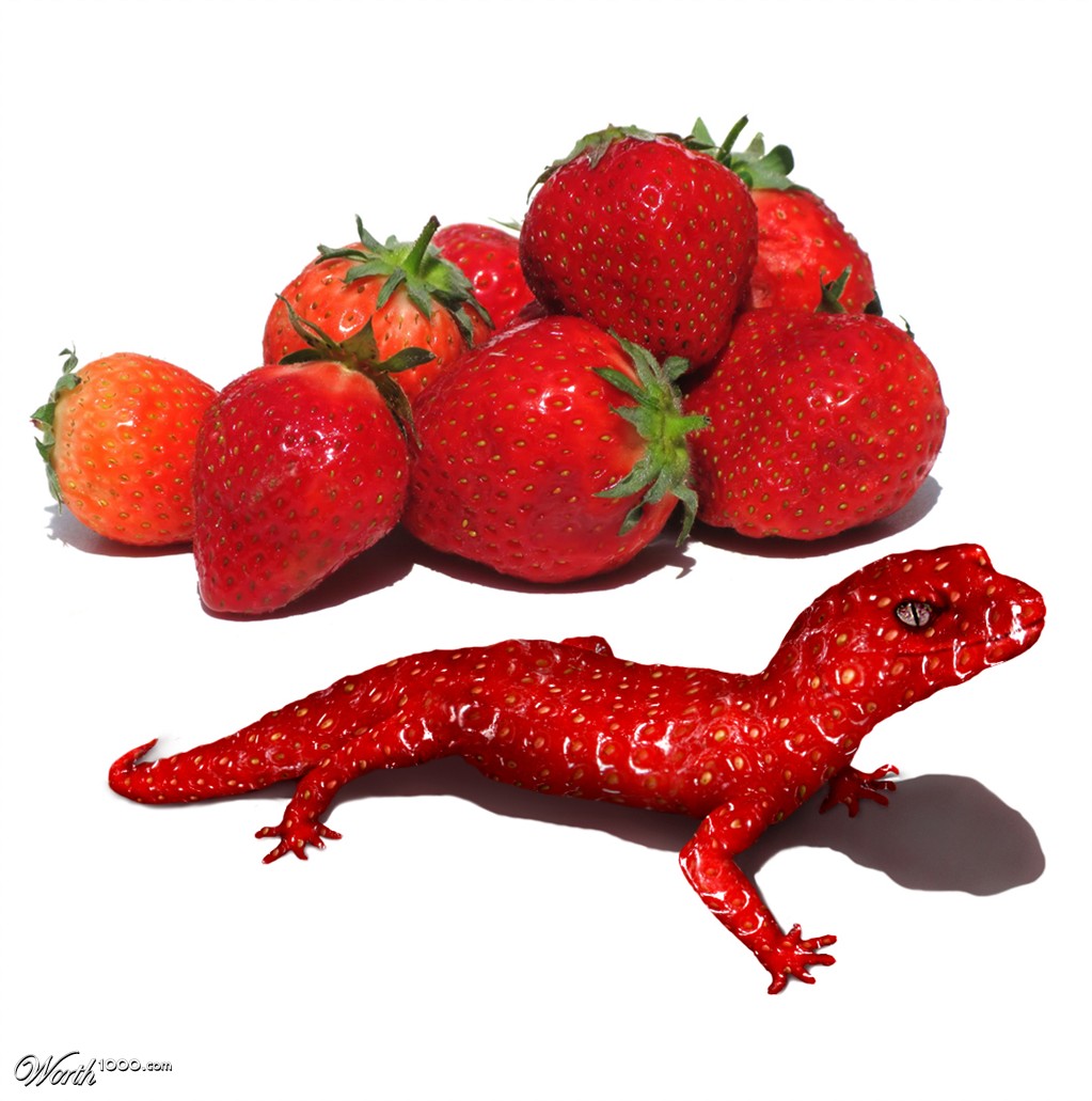 Strawberry Gecko