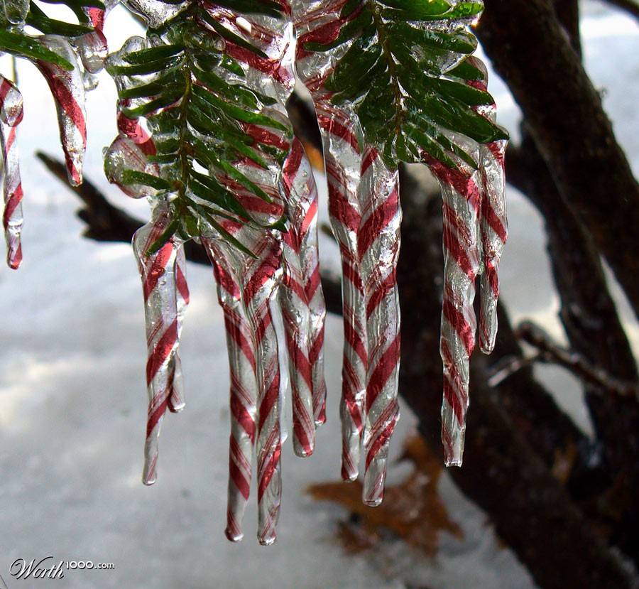Candy cane icicles