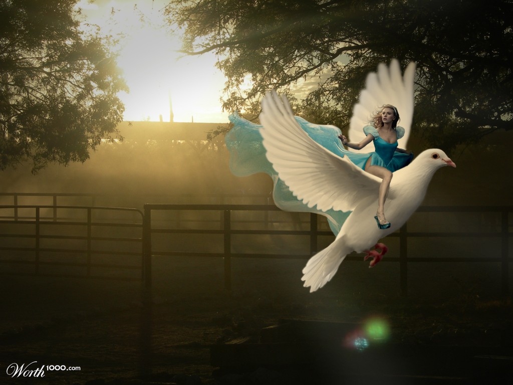 Riding a dream