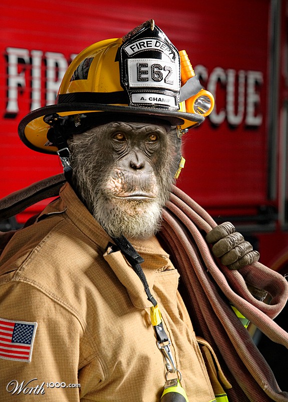 Fireman monkey