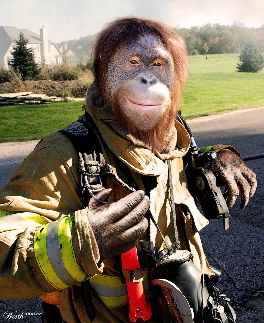 On Duty
