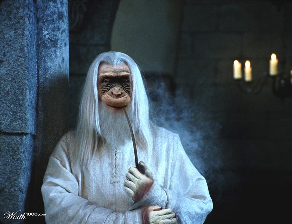 Ape Gandalf