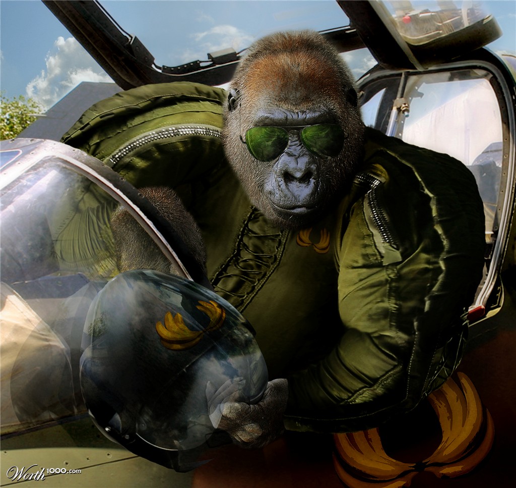 Major Max Kong