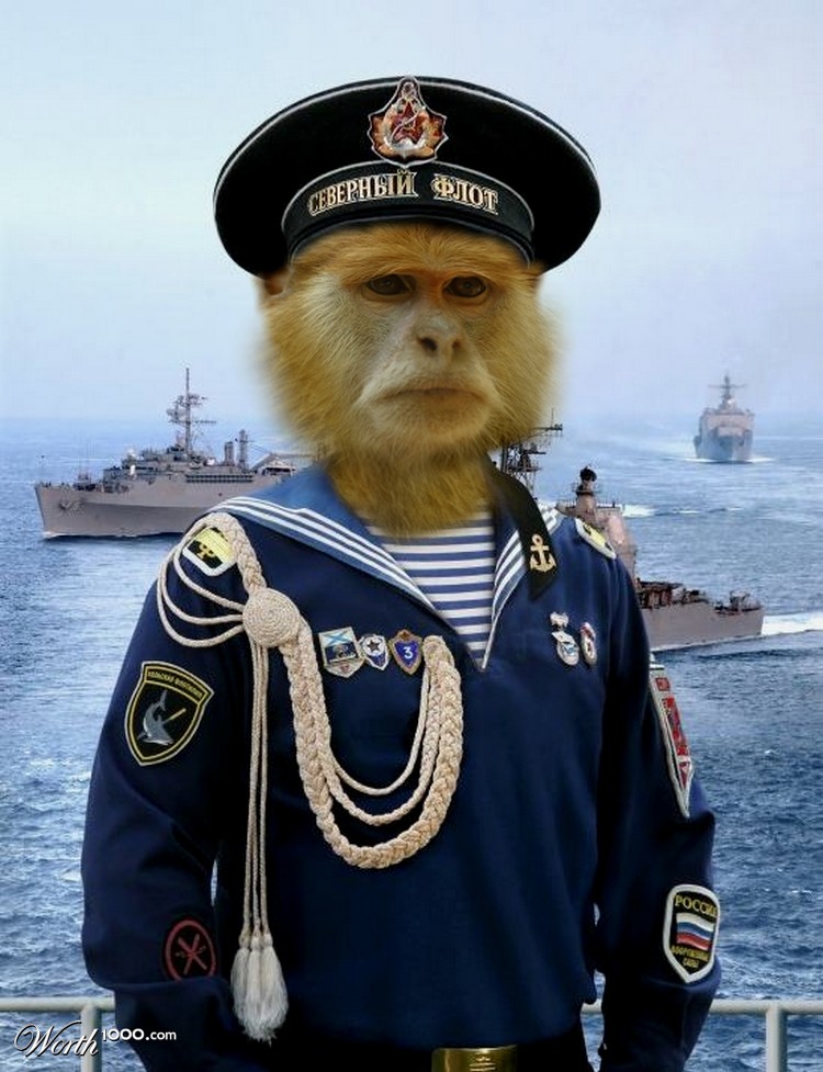 Sovi-ape Marin