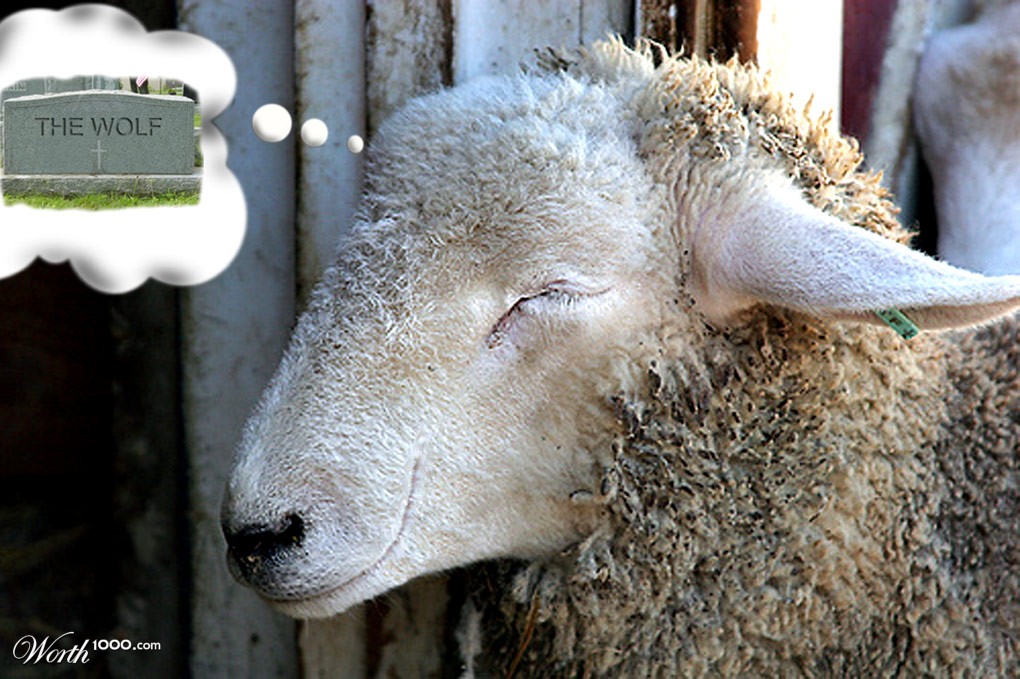 Sweet Sheep Dreams