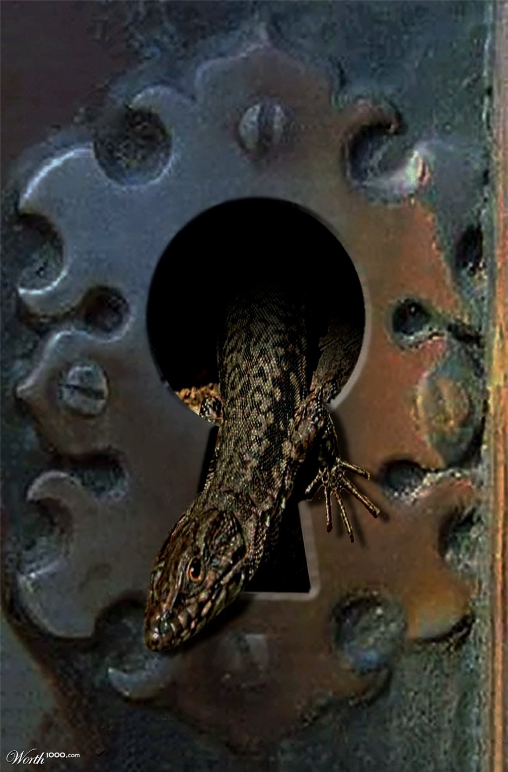 Lezard