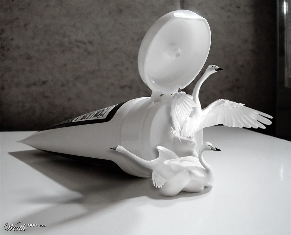 Swan