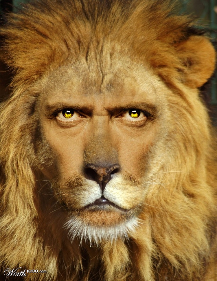 Hugh Laurie Lion